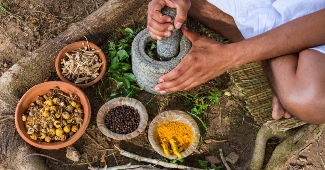 7 Health Benefits of Ayurvedic Herbs and Spices – Goodnet