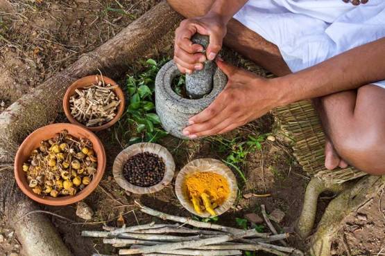 Top 10 Ayurveda Herbs You Cannot Miss